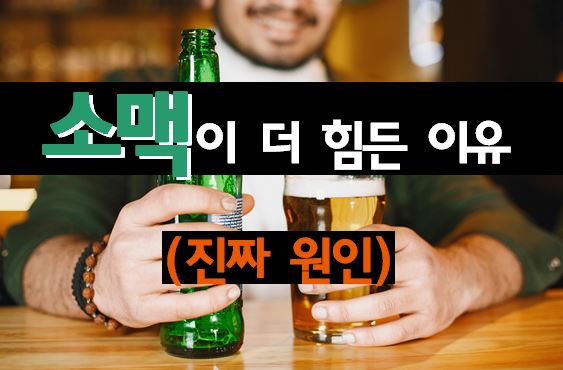 소주 vs 맥주 숙취 승자는? 소맥이 다음 날 유독 힘든 과학적 이유 (숙취학 개론)