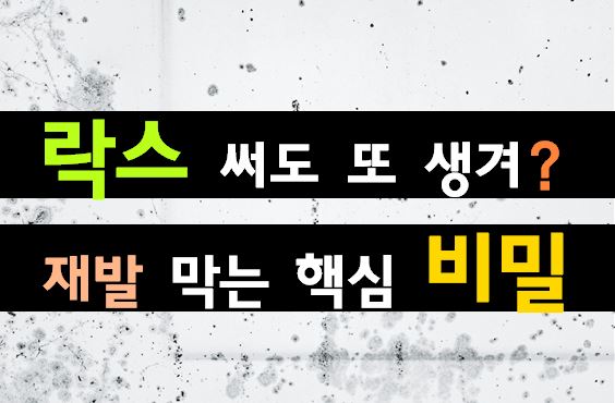락스 청소 제발 멈추세요! 닦아도 또 생기는 베란다 곰팡이 ‘결로’ 차단 비법